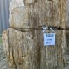 Pierre tombale bois pétrifié 24010