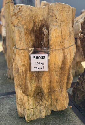 Pierre tombale bois pétrifié 56048