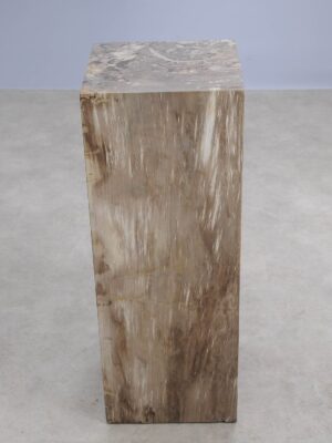 Bijzettafel versteend hout 59014