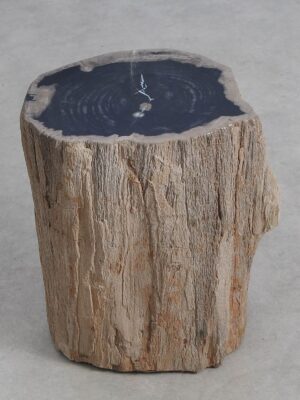 Bijzettafel versteend hout 59031