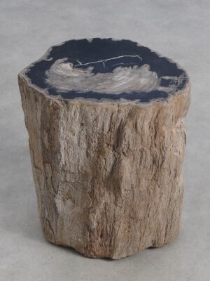 Bijzettafel versteend hout 59032