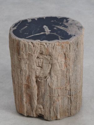 Bijzettafel versteend hout 59033