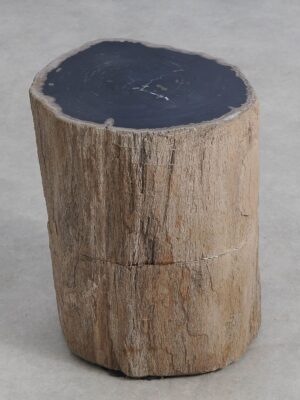 Bijzettafel versteend hout 59034