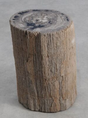 Bijzettafel versteend hout 59035
