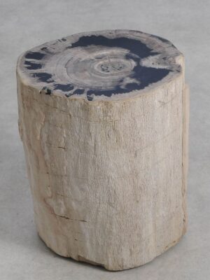 Bijzettafel versteend hout 59036