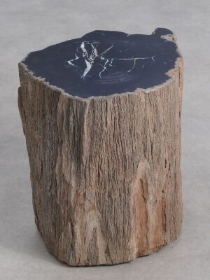 Bijzettafel versteend hout 59037
