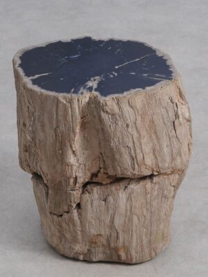 Bijzettafel versteend hout 59038