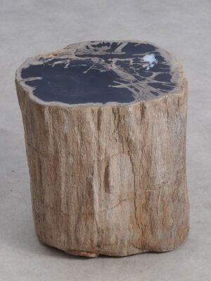Bijzettafel versteend hout 59039