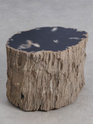 Bijzettafel versteend hout 59040