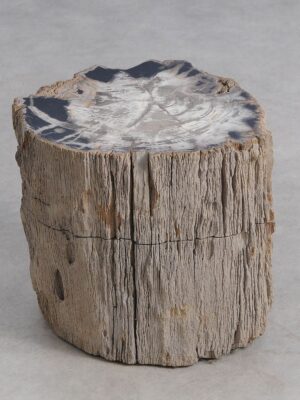 Bijzettafel versteend hout 59041