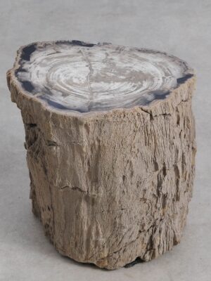 Bijzettafel versteend hout 59042