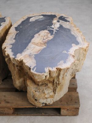 Bijzettafel versteend hout 59047