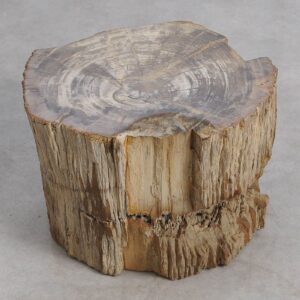 Bijzettafel versteend hout 59371