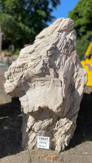 Grafsteen versteend hout 19027