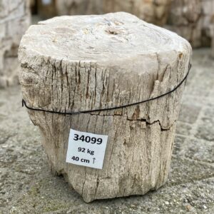 Grafsteen versteend hout 34099