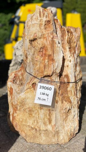 Grafsteen versteend hout 39060