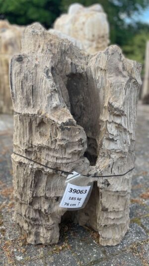 Grafsteen versteend hout 39063