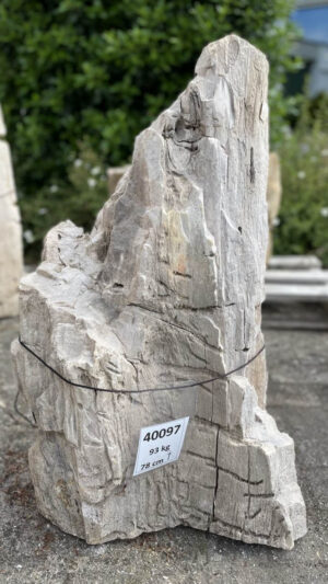 Grafsteen versteend hout 40097