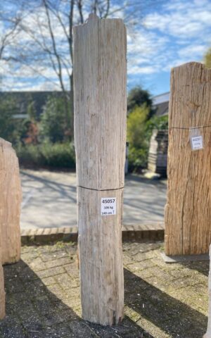 Grafsteen versteend hout 45057