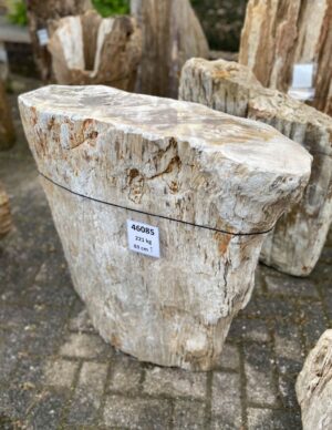 Grafsteen versteend hout 46085