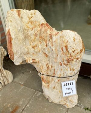 Grafsteen versteend hout 46111