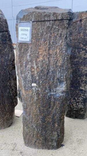 Grafsteen versteend hout 50266