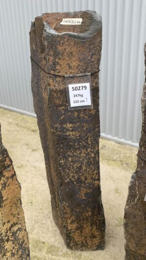 Grafsteen versteend hout 50279