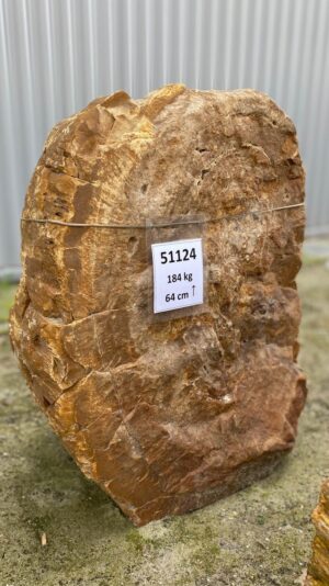 Grafsteen versteend hout 51124