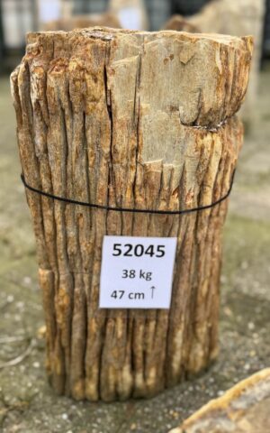 Grafsteen versteend hout 52045