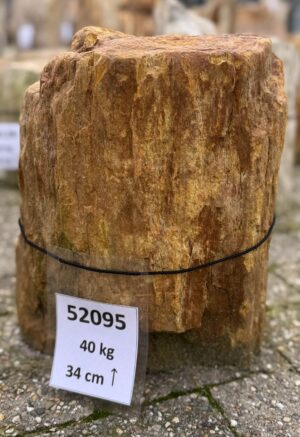 Grafsteen versteend hout 52095