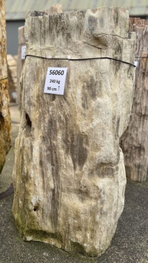 Grafsteen versteend hout 56060