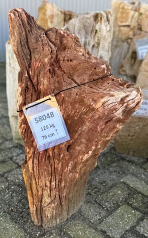 Grafsteen versteend hout 58048