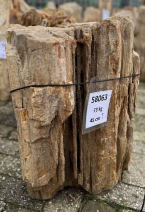 Grafsteen versteend hout 58063