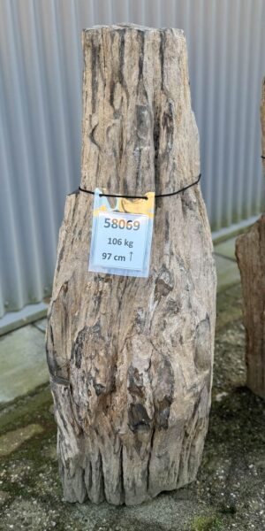 Grafsteen versteend hout 58069