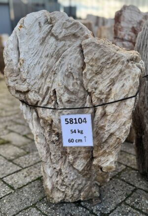 Grafsteen versteend hout 58104