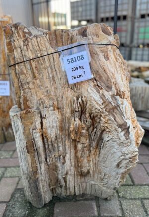 Grafsteen versteend hout 58108