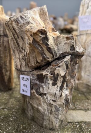 Grafsteen versteend hout 58109