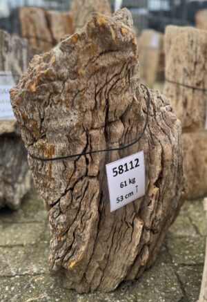 Grafsteen versteend hout 58112