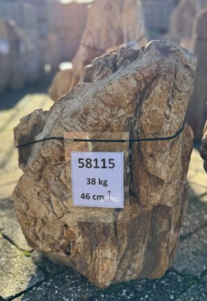 Grafsteen versteend hout 58115