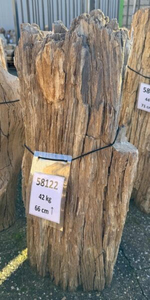 Grafsteen versteend hout 58122