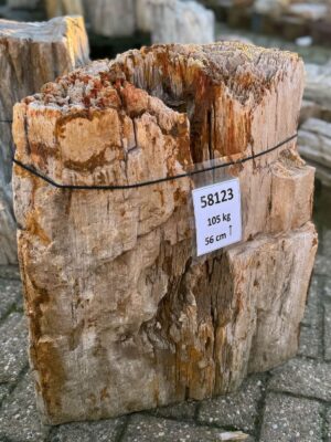 Grafsteen versteend hout 58123