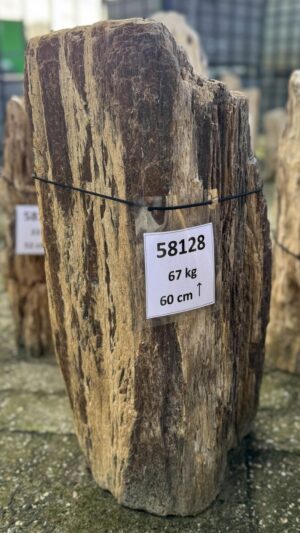 Grafsteen versteend hout 58128