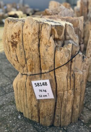 Grafsteen versteend hout 58148