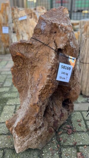 Grafsteen versteend hout 58169