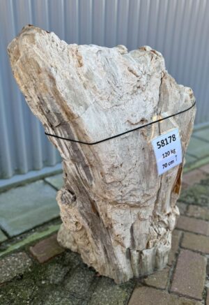 Grafsteen versteend hout 58178