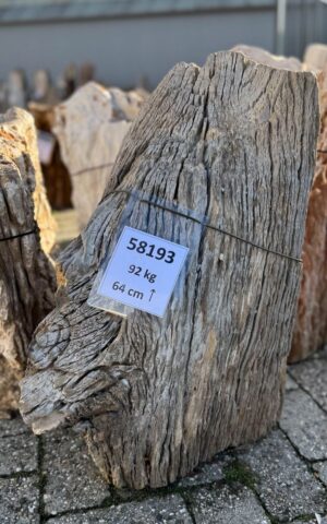 Grafsteen versteend hout 58193