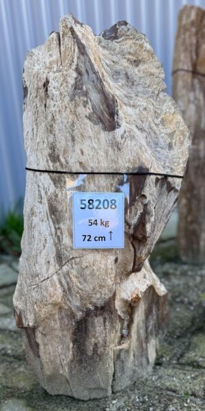 Grafsteen versteend hout 58208