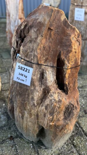 Grafsteen versteend hout 58221