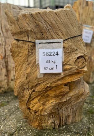 Grafsteen versteend hout 58224