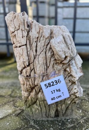 Grafsteen versteend hout 58236